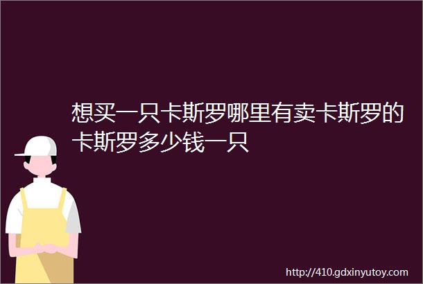 想买一只卡斯罗哪里有卖卡斯罗的卡斯罗多少钱一只