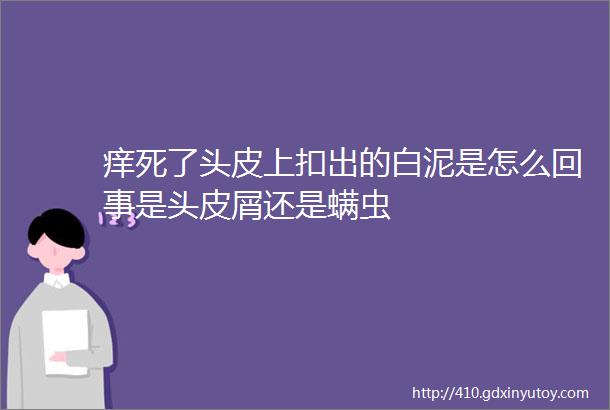 痒死了头皮上扣出的白泥是怎么回事是头皮屑还是螨虫